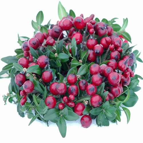 Fresh Boxwood and Berry Wreath